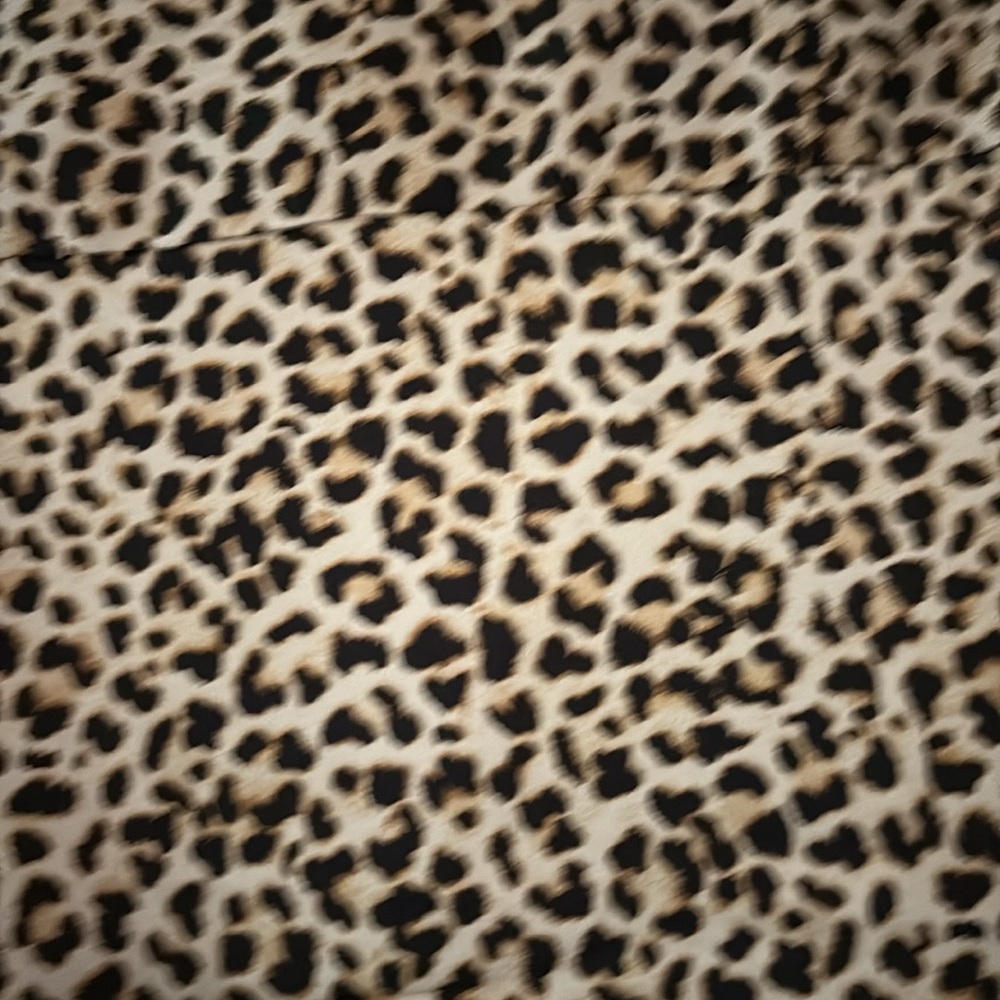 Leopard Print Co-Ord Set - Picture 10 of 10